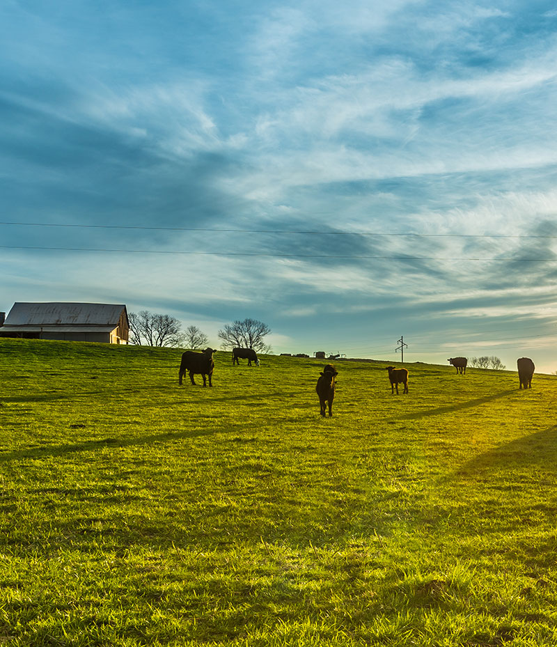 On Site Security for Agriculture
